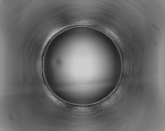 X0000113940800200909251239