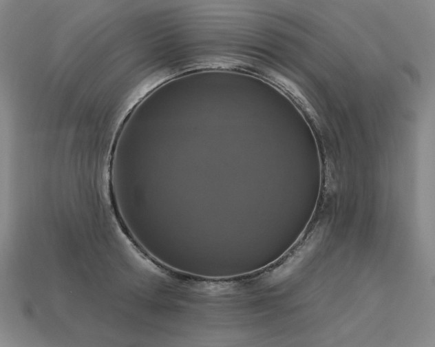 X0000113940802200909251239