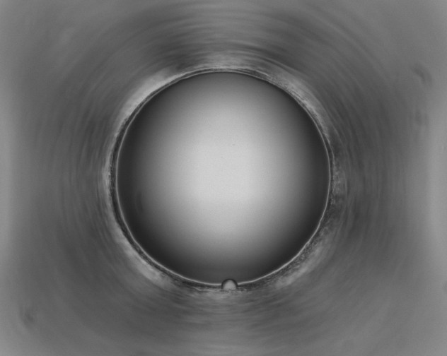 X0000113940803200909251239