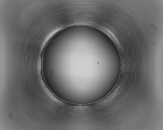 X0000113940804200909251239