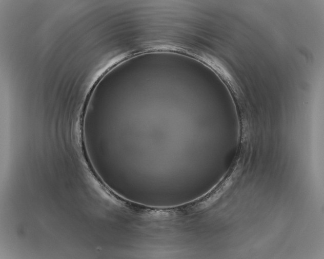 X0000113940806200909251239