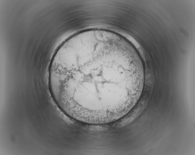 X0000113940807200909251239