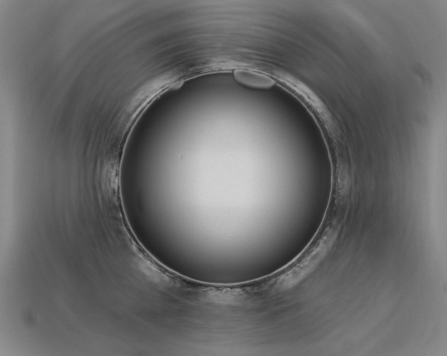 X0000113940809200909251239