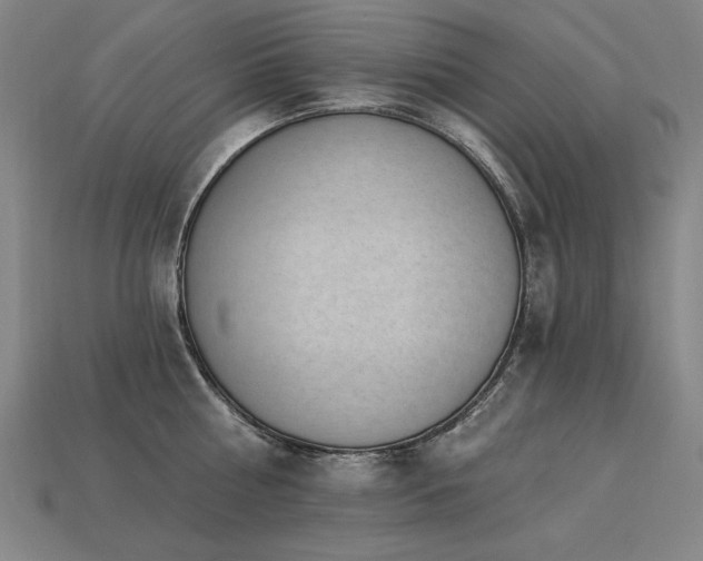 X0000113940810200909251239