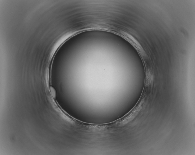 X0000113940812200909251239