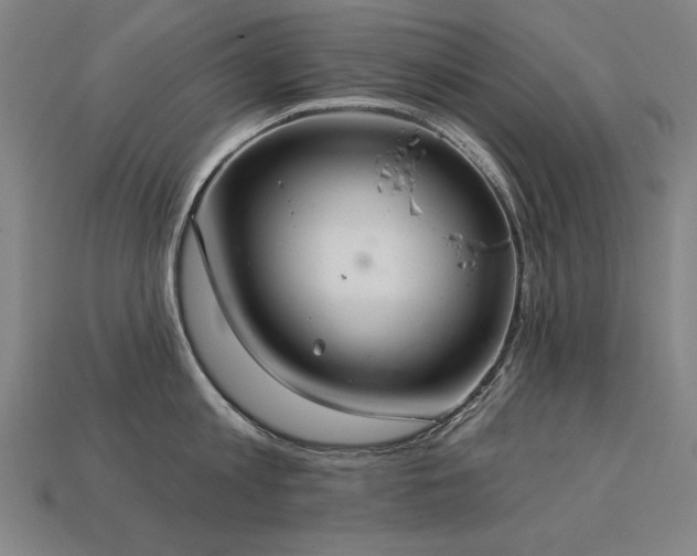 X0000113940813200909251239