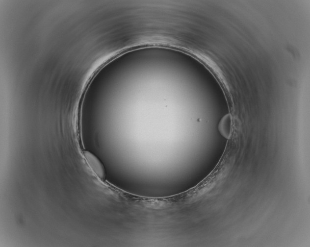 X0000113940815200909251239
