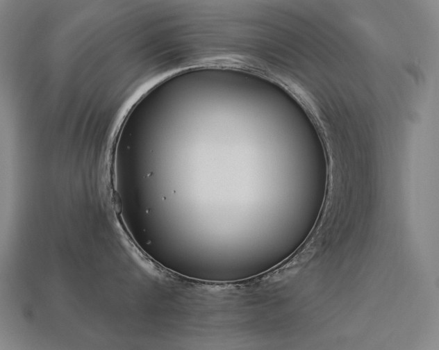 X0000113940816200909251239