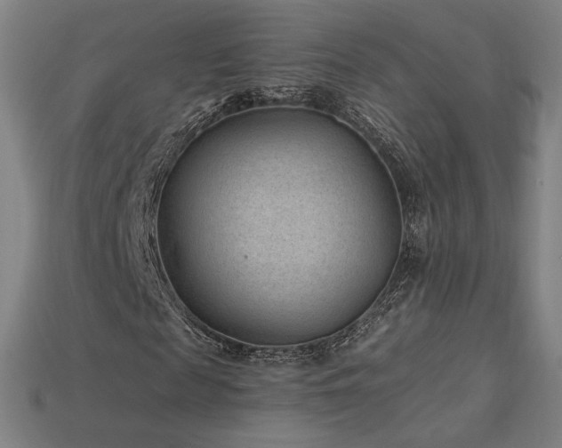X0000113940817200909251238