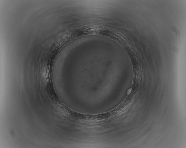 X0000113940818200909251238