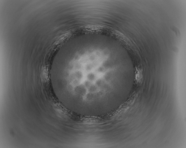 X0000113940819200909251238