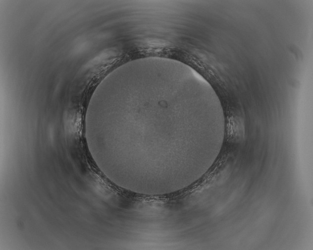 X0000113940820200909251238