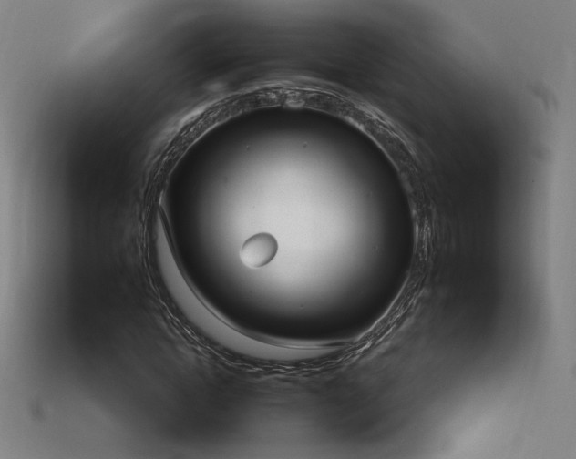 X0000113940822200909251238