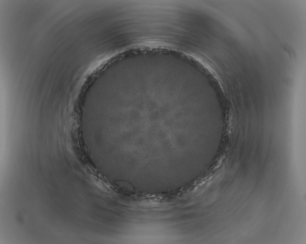 X0000113940823200909251238