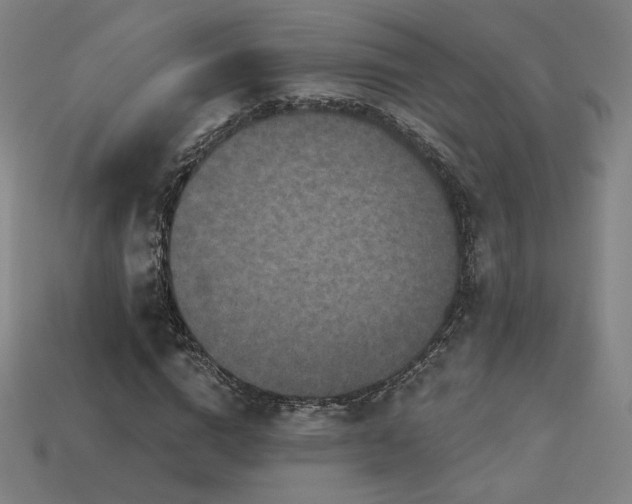 X0000113940824200909251238