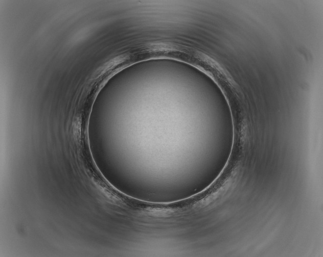 X0000113940825200909251238