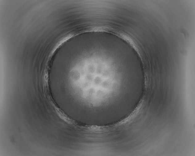X0000113940827200909251238