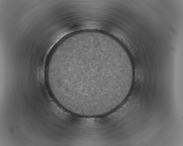 X0000113940828200909251238