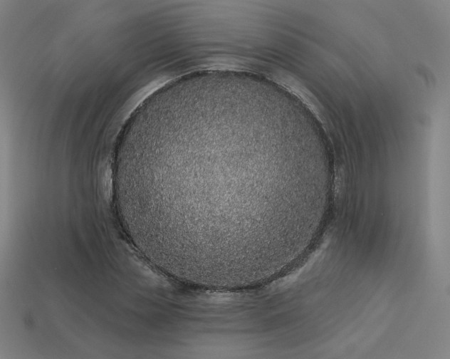X0000113940829200909251238