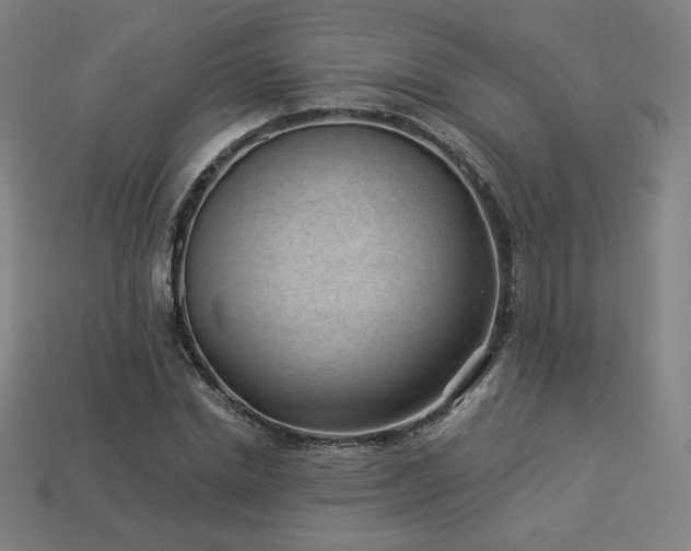X0000113940830200909251238