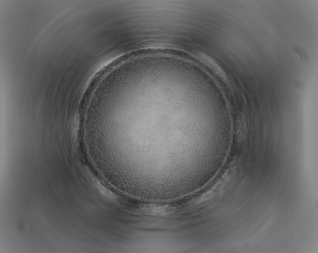 X0000113940831200909251238