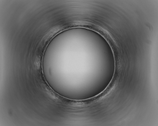 X0000113940833200909251238