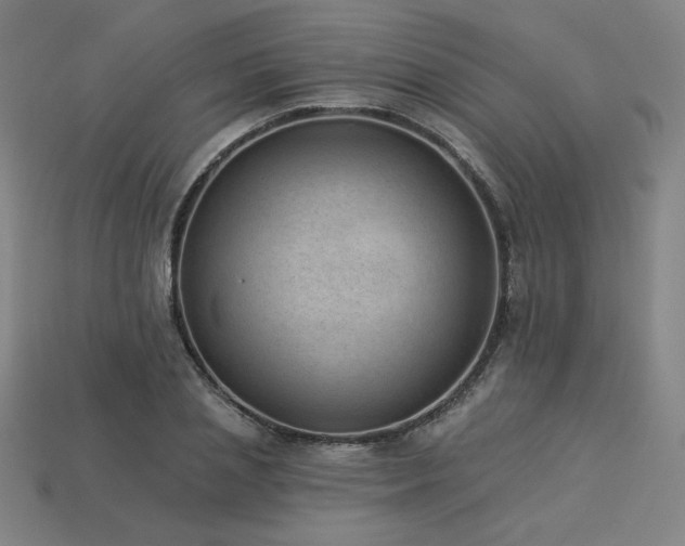 X0000113940837200909251238
