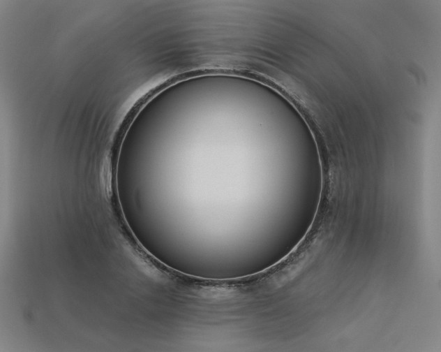 X0000113940838200909251238
