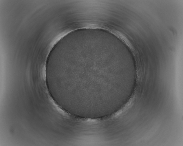 X0000113940839200909251238