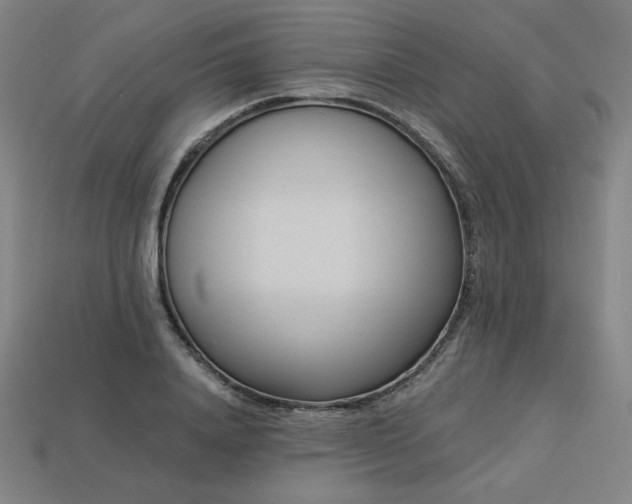 X0000113940840200909251238