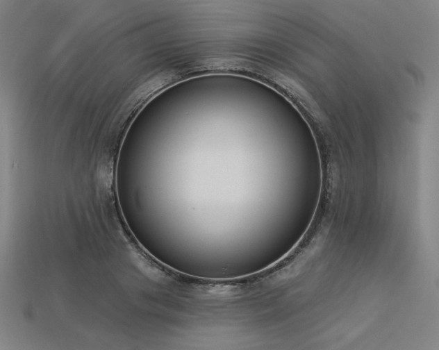 X0000113940841200909251238