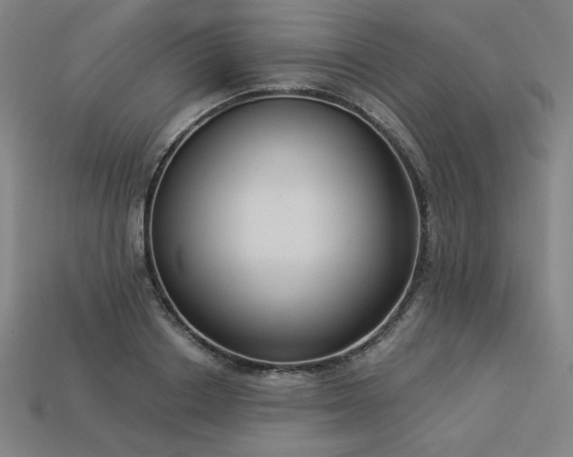 X0000113940842200909251238