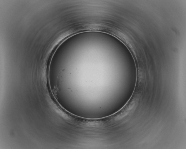 X0000113940843200909251238