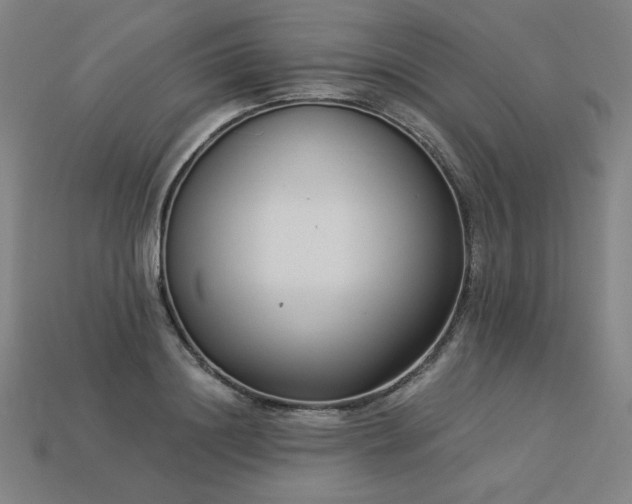 X0000113940844200909251238