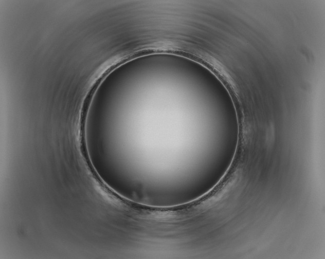 X0000113940845200909251238
