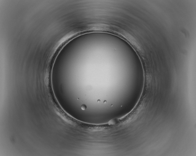 X0000113940846200909251238