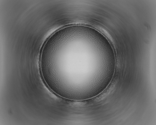 X0000113940847200909251238