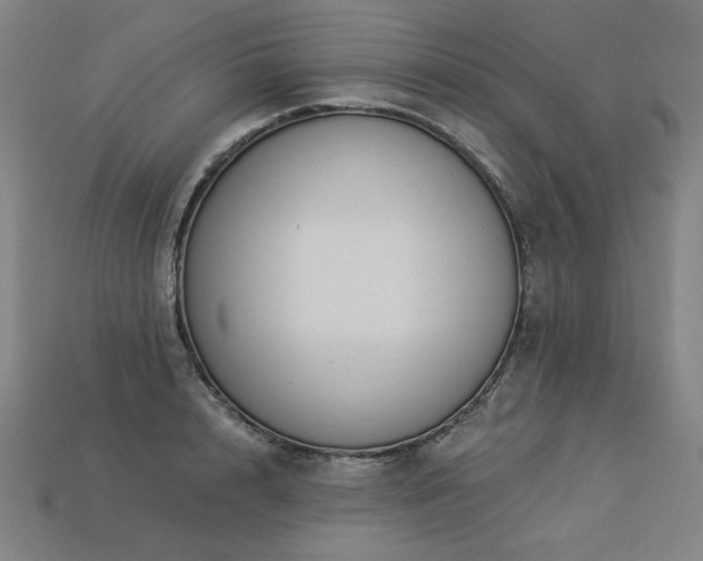 X0000113940848200909251238