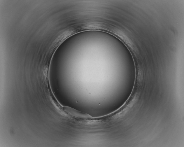 X0000113940849200909251238