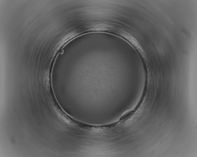 X0000113940850200909251239