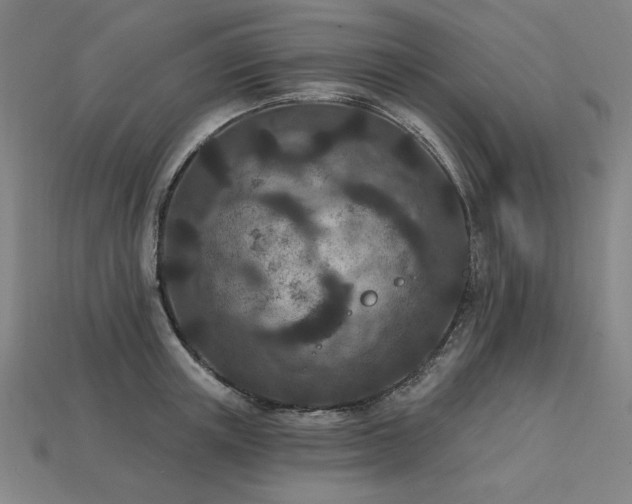X0000113940851200909251239