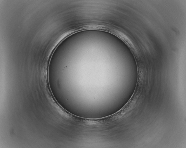 X0000113940852200909251239