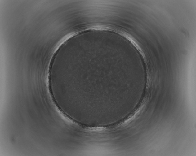 X0000113940853200909251239