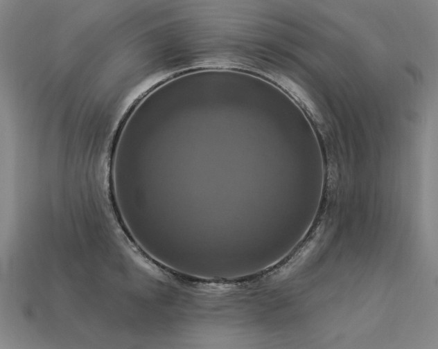 X0000113940854200909251239