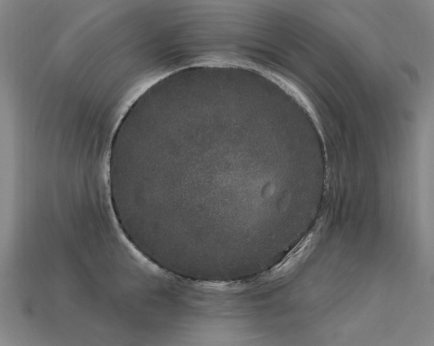 X0000113940855200909251239