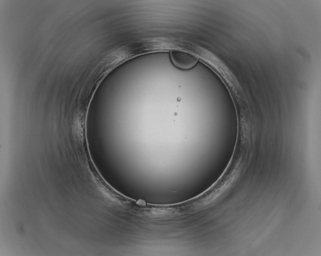 X0000113940857200909251239