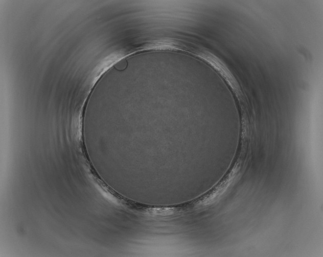 X0000113940858200909251239