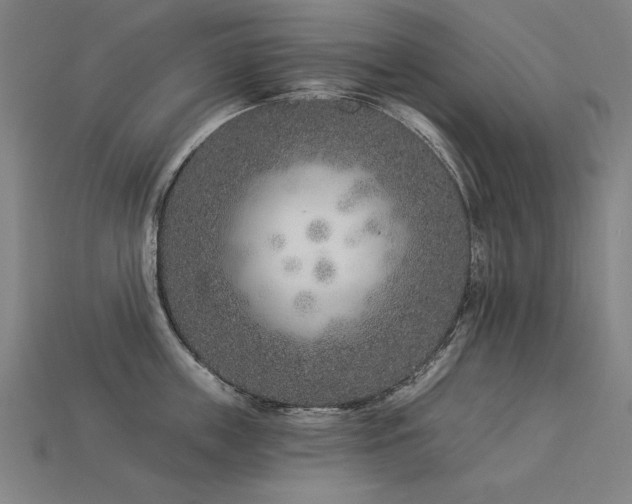 X0000113940859200909251239