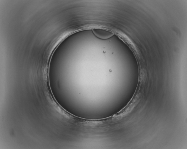 X0000113940860200909251239