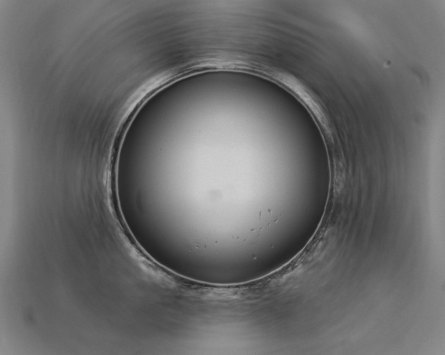 X0000113940861200909251239